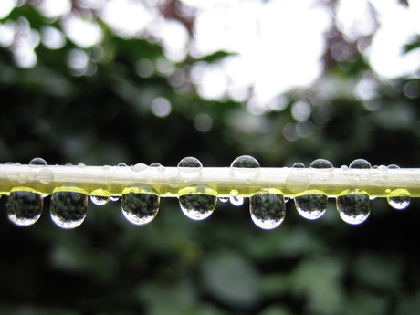 Waterdruppels hangen te drogen aan de waslijn