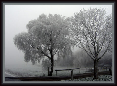 Mist, grauw en koud.