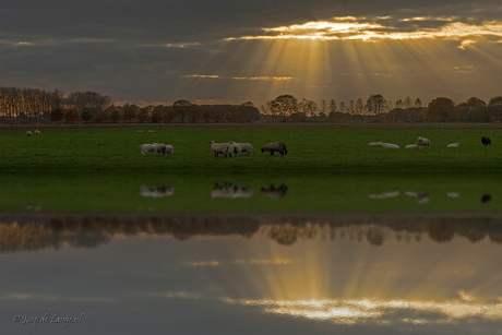 de avond valt