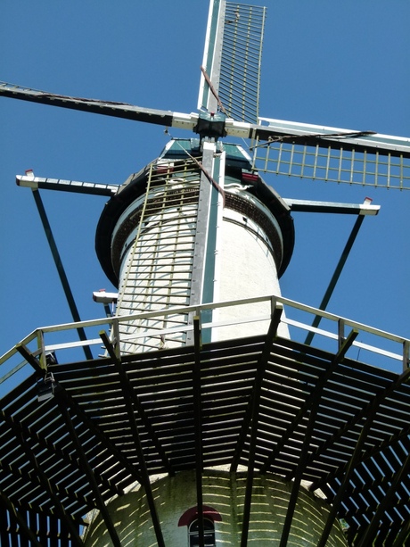 Molen