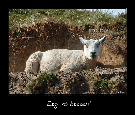 Zeg 'ns beeeh!