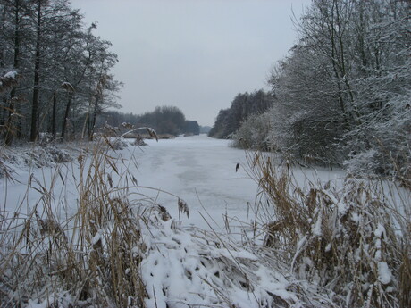 Streekbos Bovenkarspel