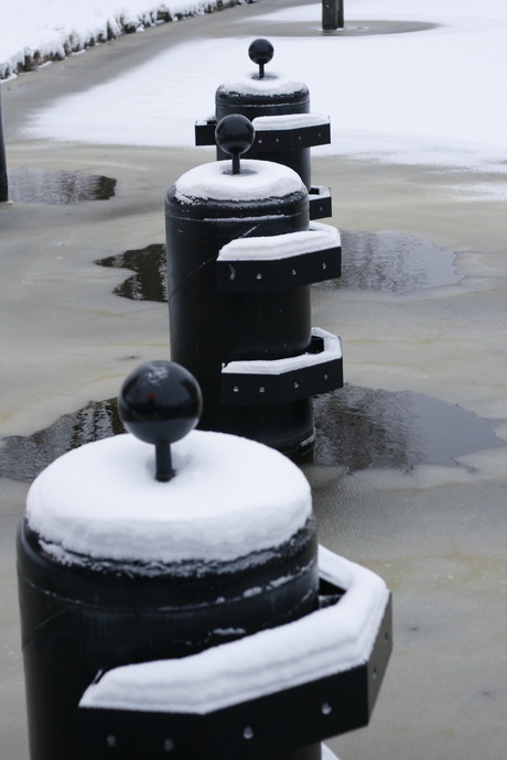 Drie dukdalfen in het water