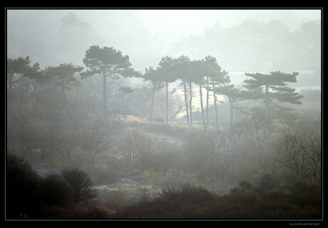 sfeervolle duinen