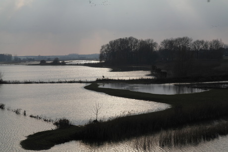 Zutphen, IJssel bij hoogwater