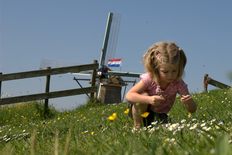 Meisje plukt bloemen