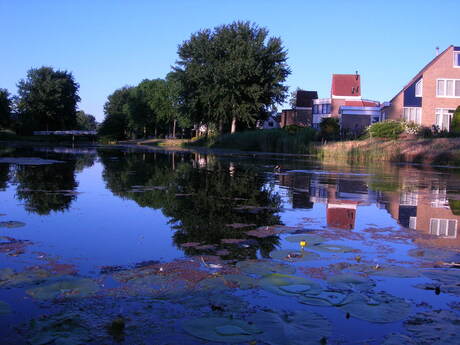 Avond Licht