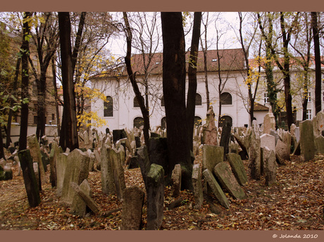Joodse begraafplaats Praag