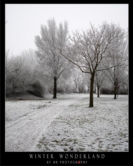 HB Winter Wonderland