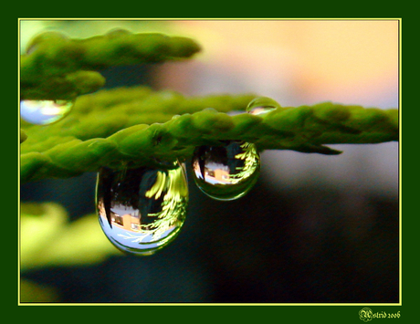 Raindrops 2