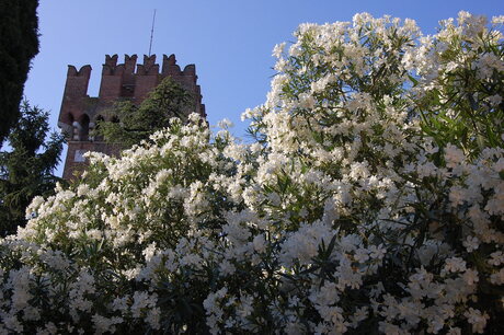 Kasteel Lazise