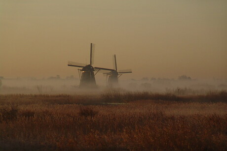 Kinderdijk in de mist