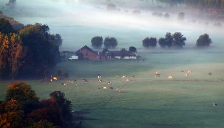 boerderij in de mist