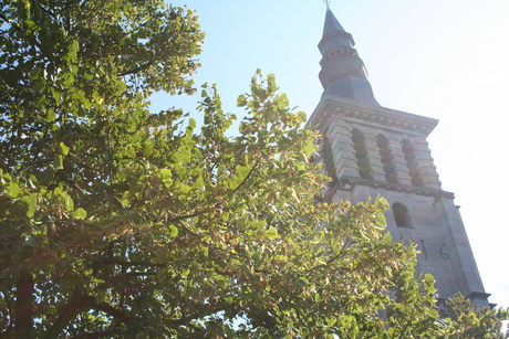 Kerk met bomen