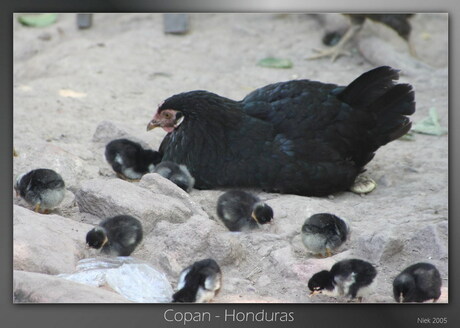 Copan Honduras