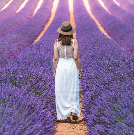 Model in lavendel velden Valensole