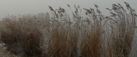 winterweer