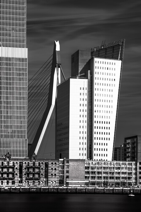 Het nieuwe Rotterdam