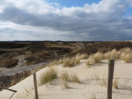 Duingebied Solleveld uitzicht