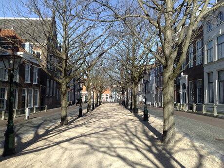 Hooglandsekerkgracht te Leiden