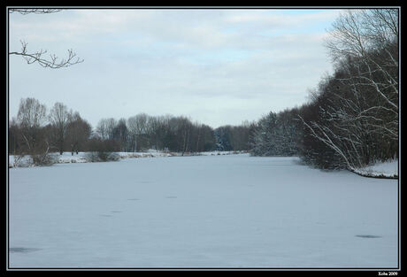 Winterlandschap