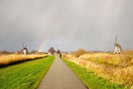 kinderdijk