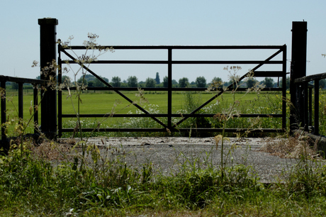Landschap omgeving Houten