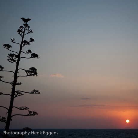 Rhodos Sunset