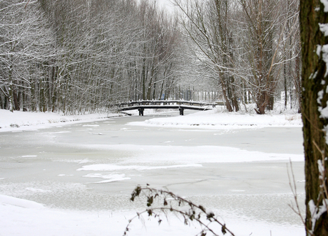 park beverwaard rotterdam