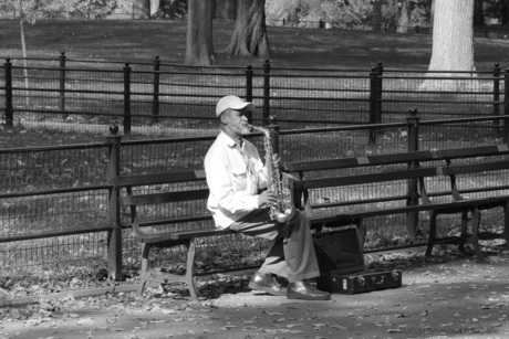 saxofonist New York Central Park