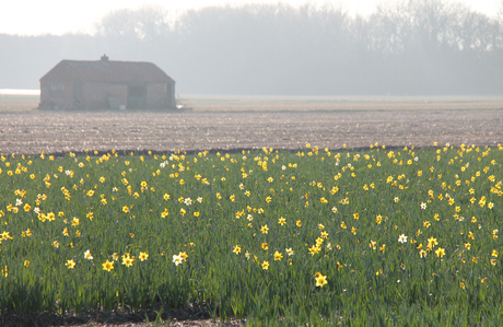 De lente is begonnen!