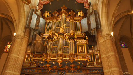 orgel