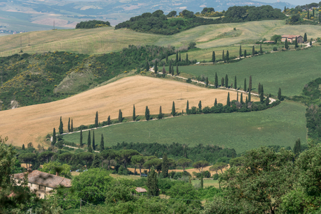 Toscaans landschap 3