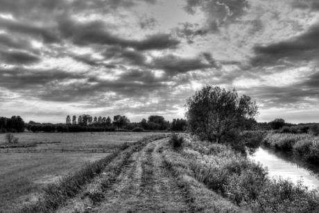 Inge Claessens_landschap_waasmunster