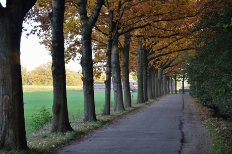 Herfstkleuren