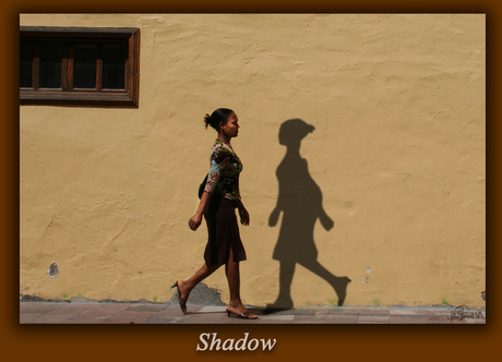 Shadow II