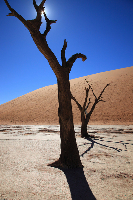 Deadvlei