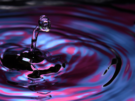 Loch Ness in een glas water.