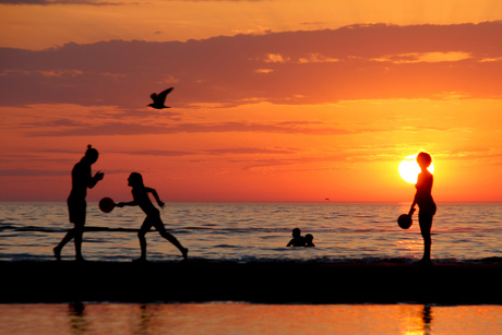 Strand noordwijk