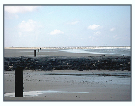 Strand op Vlieland