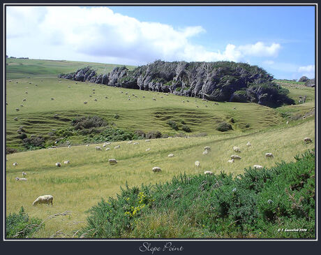 Slope Point NZ