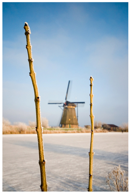 Kinderdijk