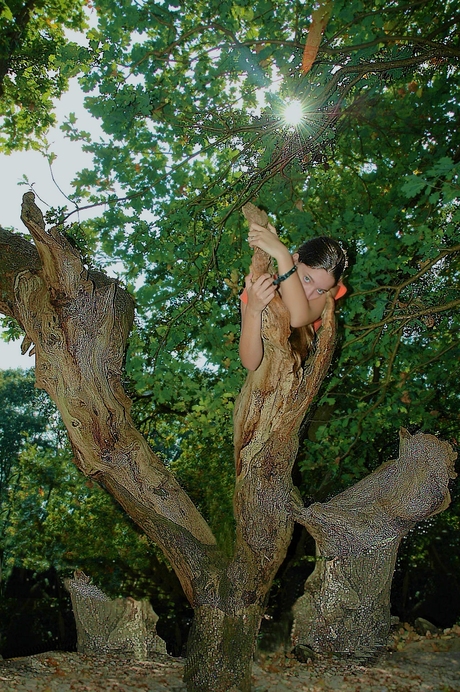 Tree-fairy