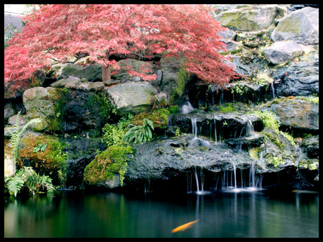 japanse watertuin