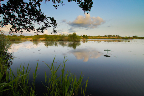 Tienhoven01