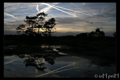 Soesterduinen