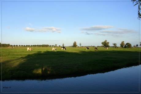 zoomers, groetjes vanuit de polder