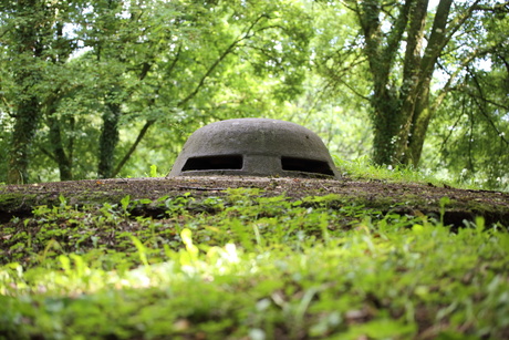 Bunker 1914