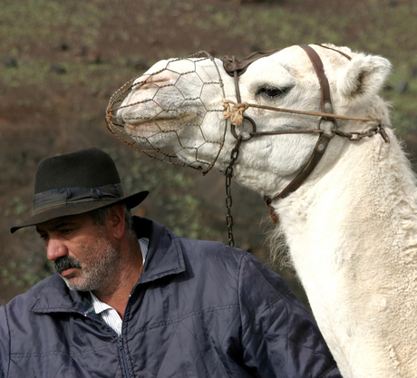 The Man And His Camel