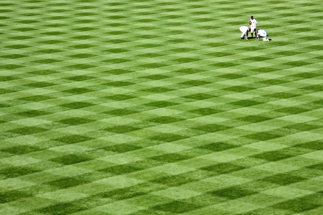 patroon - Yankee Stadium